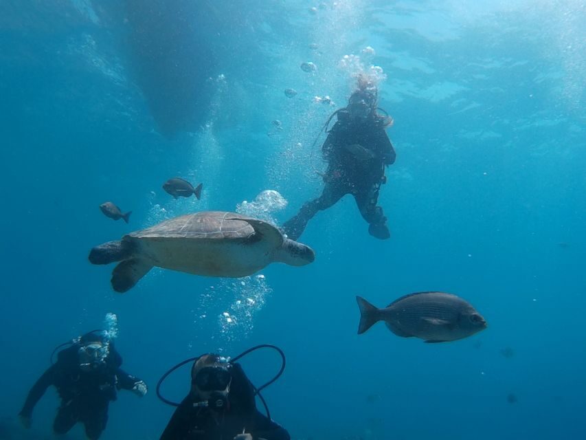 PADI Open Water Course in 3 Days - PADI Open Water Diver in Tenerife: what you’re really buying