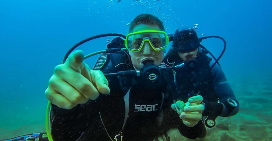 PADI Open Water Course in 3 Days - Days 2 and 3: four open-water sessions and real practice