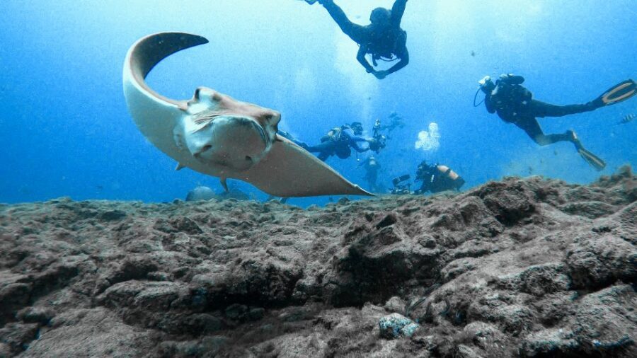 PADI Open Water Course in 3 Days - Instructors and safety culture: multi-language coaching that stays human