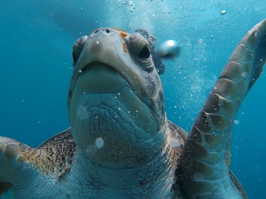 PADI Open Water Course in 3 Days - Price and logistics: is $465 a good deal?