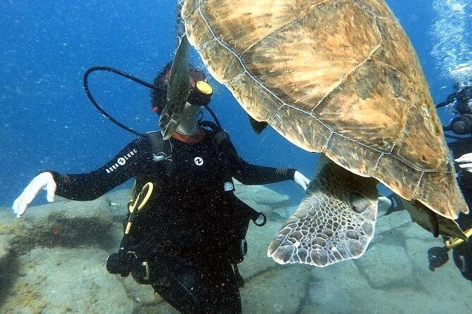 PADI Scuba Dive Course in Costa Adeje - The Instructor and Equipment Setup That Makes It Feel Safe