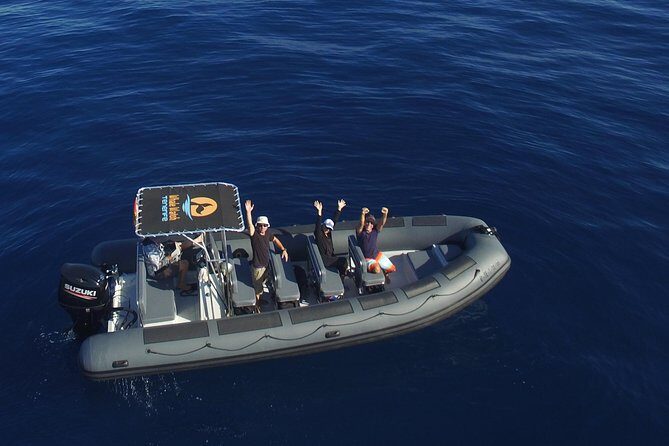 Private 2 hour Whale Watching Tour - Key things that make this tour work