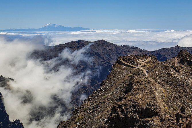 Private 8 hours Tour to El Teide from Tenerife Hotel with driver/guide - A private Teide day is really about control