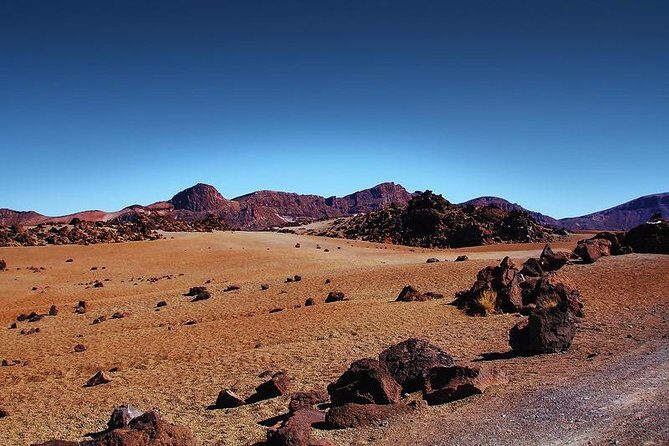 Private 8 hours Tour to El Teide from Tenerife Hotel with driver/guide - Stop at Volcán El Teide: cable car time and big views