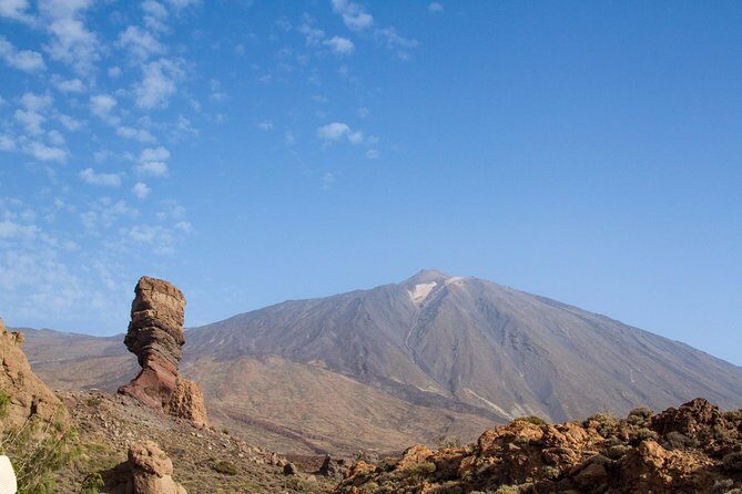 Private 8 hours Tour to El Teide from Tenerife Hotel with driver/guide - Teide National Park for hours: what the guide helps you see