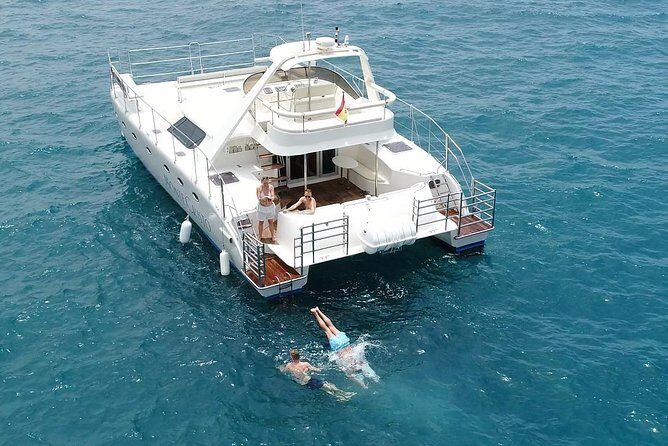 Private Catamaran Charter with Transfer, Buffet and Snorkeling - Wildlife spotting isn’t a promise, but you’re set up well