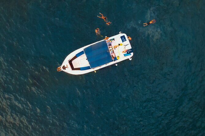 private charter 3 Hours Whale Encounter puerto colon adeje - Why private charter value can beat big-boat sightseeing