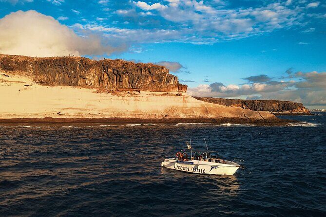 private charter 3 Hours Whale Encounter puerto colon adeje - Timing, weather, and setting the right expectations