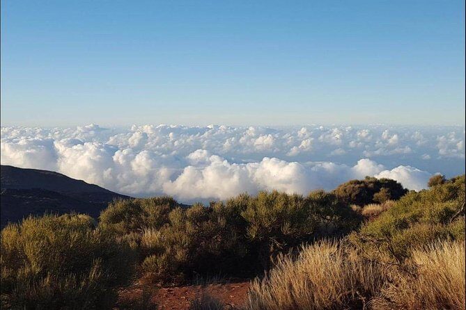 Private Shore Excursion in Tenerife from your Cruise Ship - A cruise-friendly private drive across Tenerife