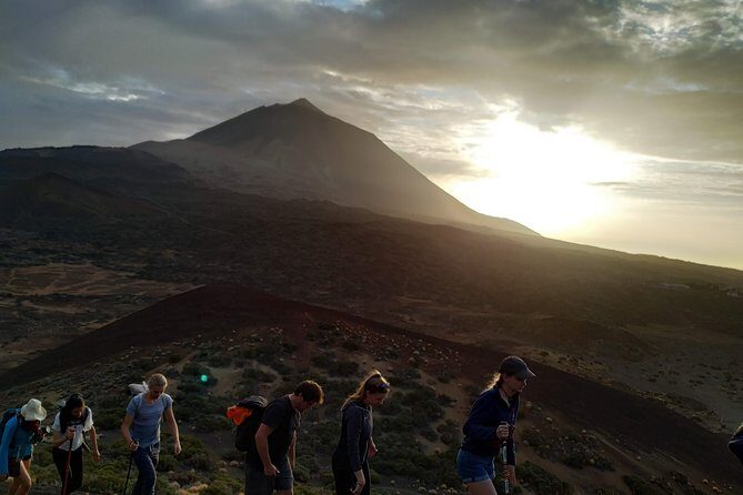 PRIVATE TOUR Teide National Park: Hiking and Stargazing - Pine forest to viewpoint stops: why the ascent matters