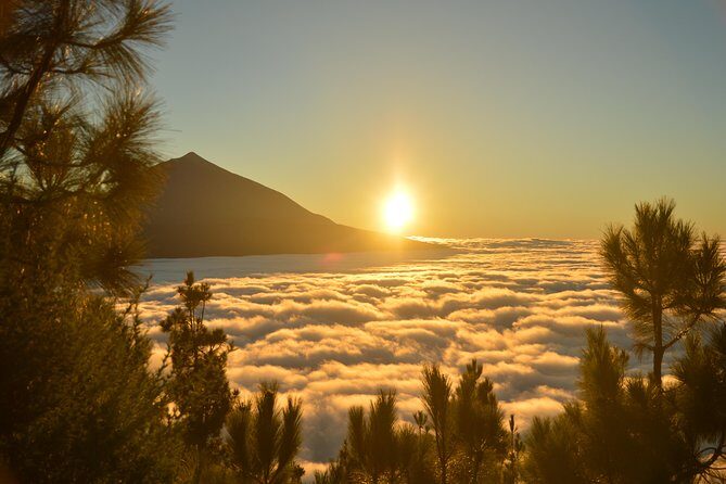 PRIVATE TOUR Teide National Park: Hiking and Stargazing - Inside Teide National Park: the film-like setting and the hiking level