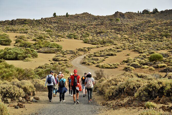 PRIVATE TOUR Teide National Park: Hiking and Stargazing - Price and what you actually get for $239.65