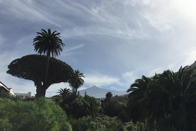 Private VIP Tour Tenerife Magic Circle - Teide National Park: where the day starts and the views do the talking