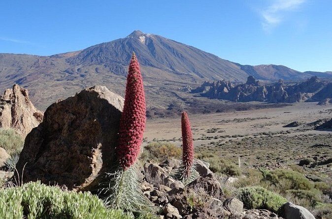 Private VIP Tour Tenerife Magic Circle - Price and value: what $277.17 buys you on Tenerife
