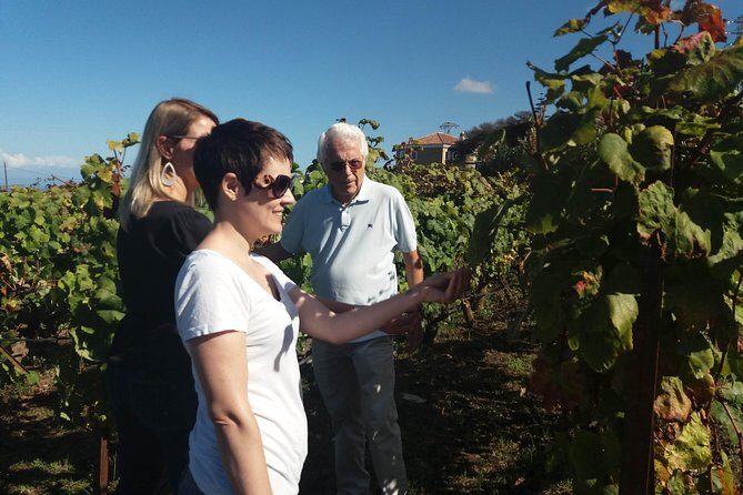 Private Wine Tasting Tour - Stop 2: Small wineries, owner-hosted hospitality, and real conversation