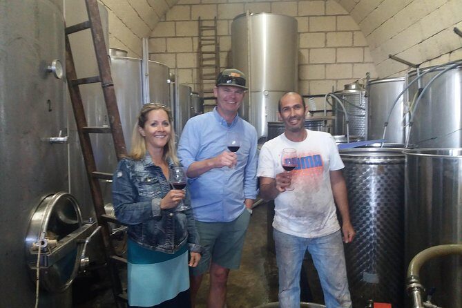 Private Wine Tasting Tour - Stop 1: Tenerife Wine Experience and the value of an admission-included start