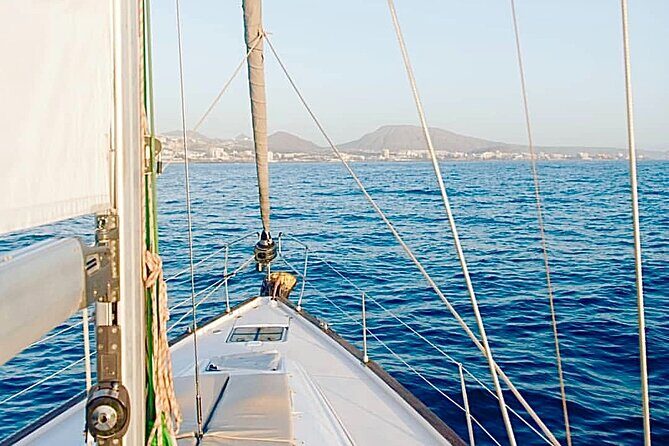 PRIVATE YACHT CHARTER VOYAGE, Food & Drinks included! - The wildlife talk that makes the spotting feel personal