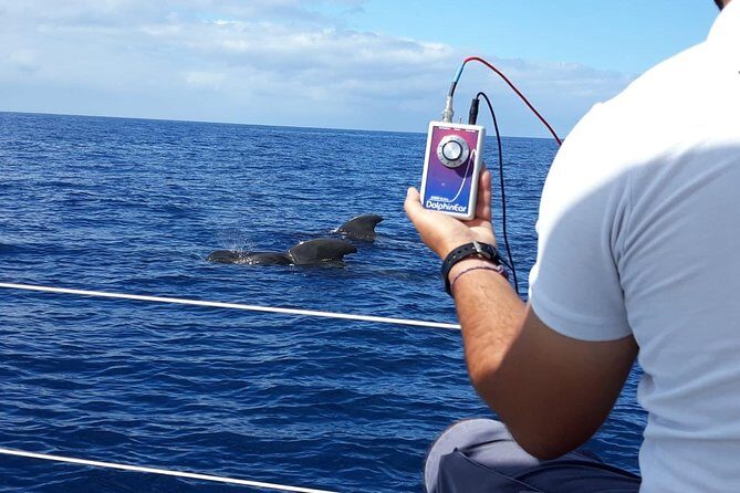 Private Yacht Tour With Whale and Dolphin Watching 42 Foot Boat - Price Per Group: Is $716.45 Good Value?