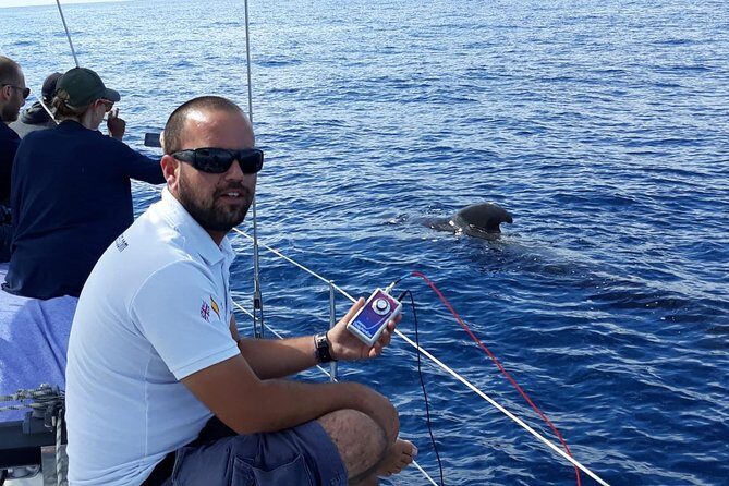 Private Yacht Tour With Whale and Dolphin Watching 42 Foot Boat - Who This Private Whale and Dolphin Yacht Tour Fits Best