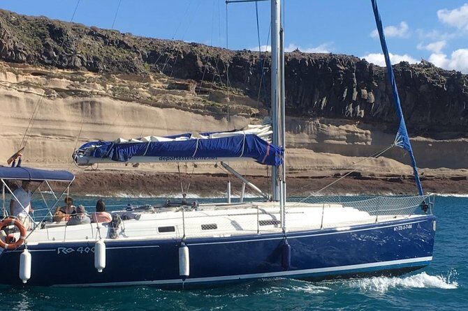 Private Yacht Tour With Whale and Dolphin Watching 42 Foot Boat - Sonar Equipment and Wildlife Watching With Real Direction