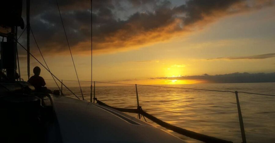 Puerto Colon: Whale-Watching Sailing Tour with Meal & a Swim - Key Highlights Worth Planning Around