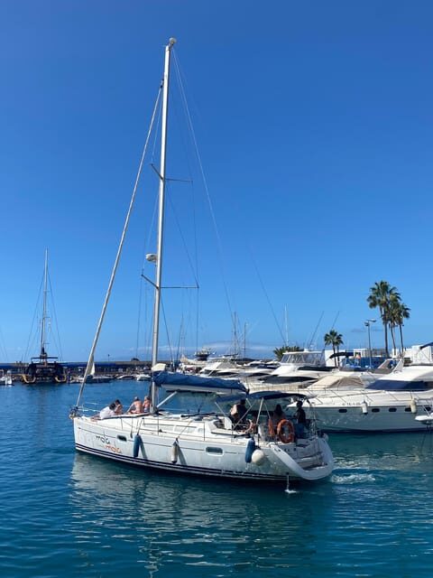 Puerto Colon: Whale-Watching Sailing Tour with Meal & a Swim - Sailing Vibe, Sea Conditions, and Motion (Plan for It)