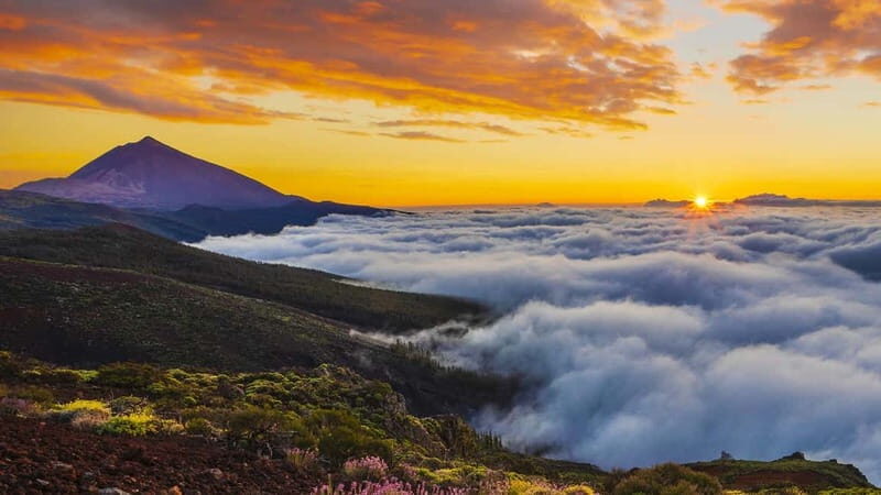 Puerto Cruz: VIP Teide Sunset & Stars, Guachiche Lunch+Cava - El Portillo coffee stop: when the tour gives you a breather