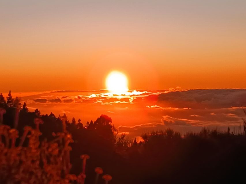 Puerto Cruz: VIP Teide Sunset & Stars, Guachiche Lunch+Cava - Weather rules: why you should plan for backup clouds