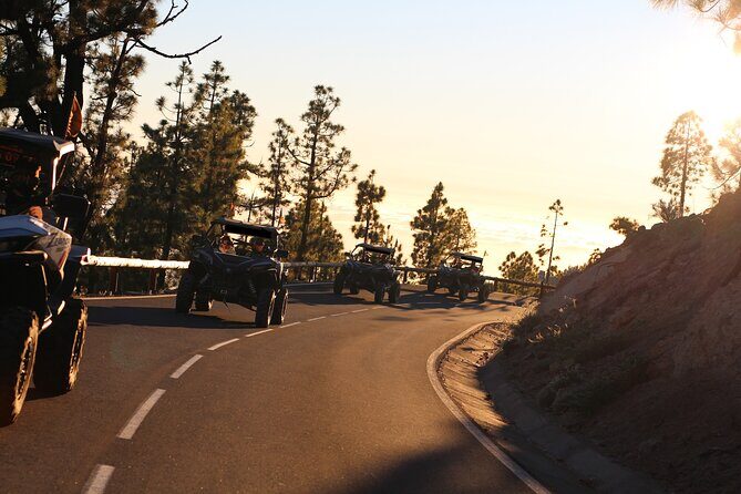 Puerto de la Cruz: Buggy Teide Day National Park - Buggy Teide logistics: where you meet and how pickup works