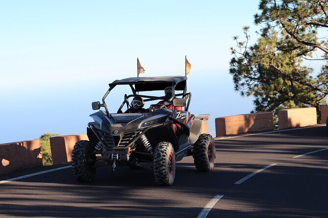 Puerto de la Cruz: Buggy Teide Day National Park - Who this tour suits best (and who might prefer something else)