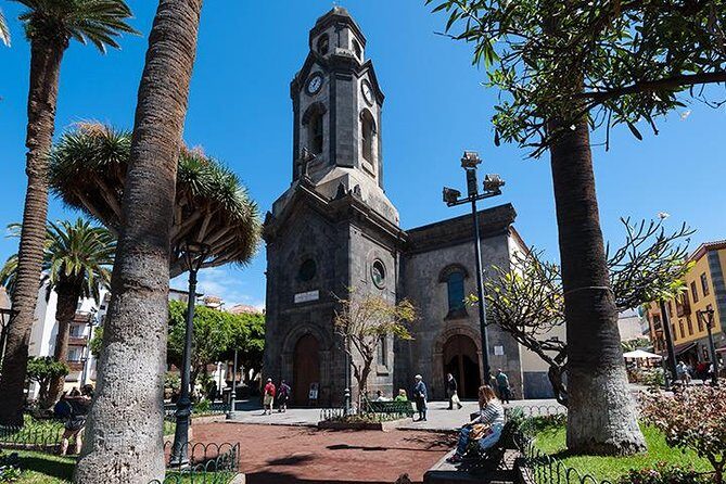 Puerto de la Cruz City Tour with Transfers - Group Size, Comfort, and What to Watch for on the Coach