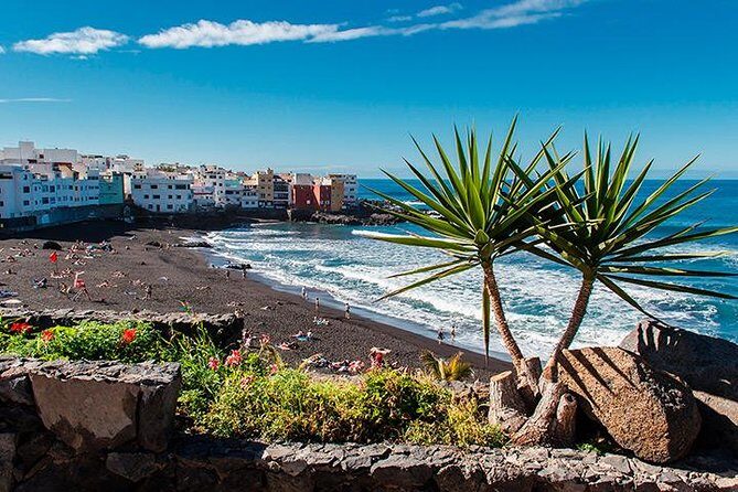 Puerto de la Cruz City Tour with Transfers - Your Puerto de la Cruz Day: How the Timing Feels