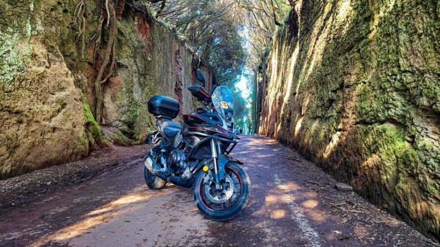 Puerto de la Cruz Motorbike tour through Teide National Park - Entering Teide National Park on two wheels