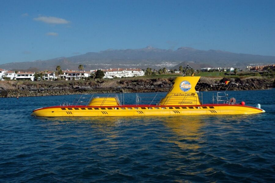 Puerto de la Cruz: Submarine Trip and Beach Stop in Tenerife - Amarilla harbour and the 1-hour marine portion: how the day flows