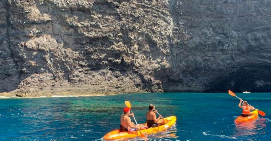 Punta de Teno: Kayak Safari overlooking Los Gigantes Cliffs - Key points to know before you go