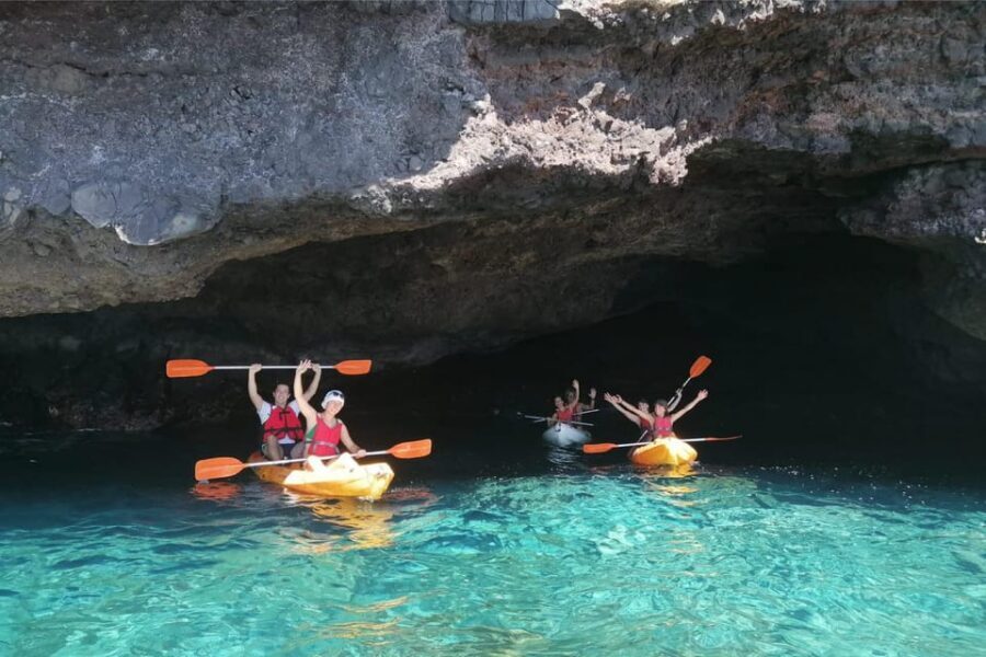 Punta de Teno: Kayak Safari overlooking Los Gigantes Cliffs - Price and value: why this $40 tour can feel like a bargain
