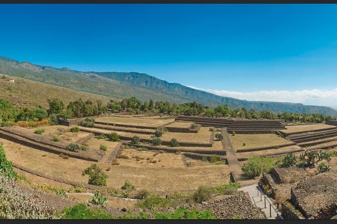 "Pyramids of Güímar Admission PREMIUM Ticket" - Botanical, Poison, and Sustainable gardens: your half-day “wander plan”