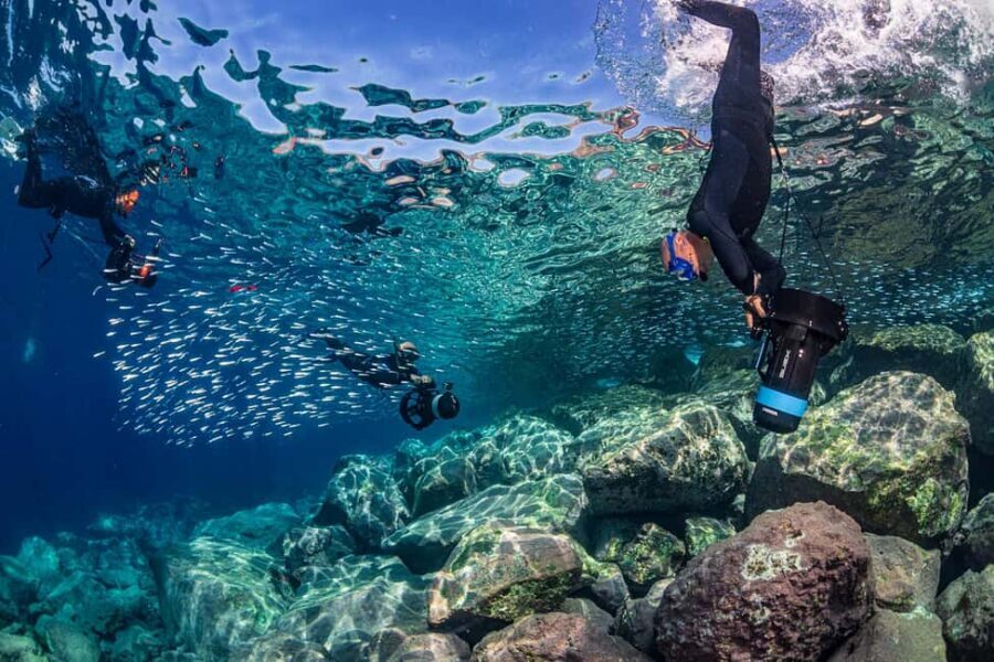 Radazul: Family-Friendly Snorkeling Tour - Price and Value: What $46 Buys You in Real Life