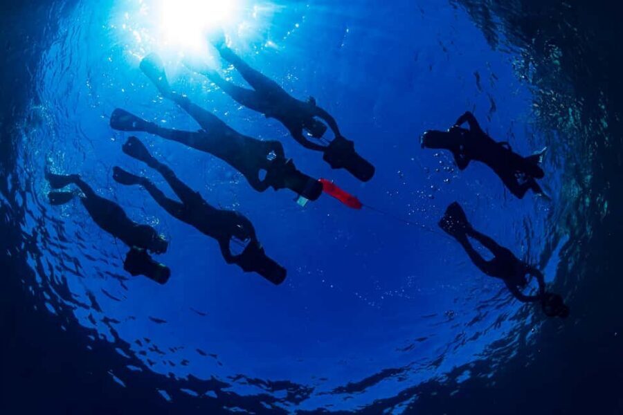 Radazul: Family-Friendly Snorkeling Tour - Who This Tour Suits Best (and Who Might Want Something Else)