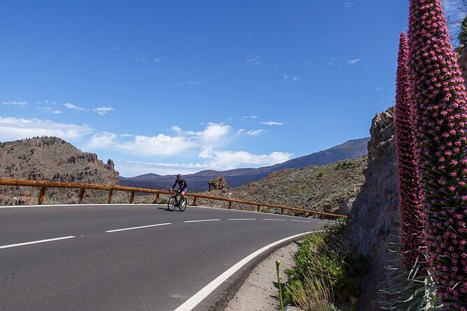 Road Cycling Tenerife - Teide Route - A 105-Kilometer Teide Day That’s Actually About Effort