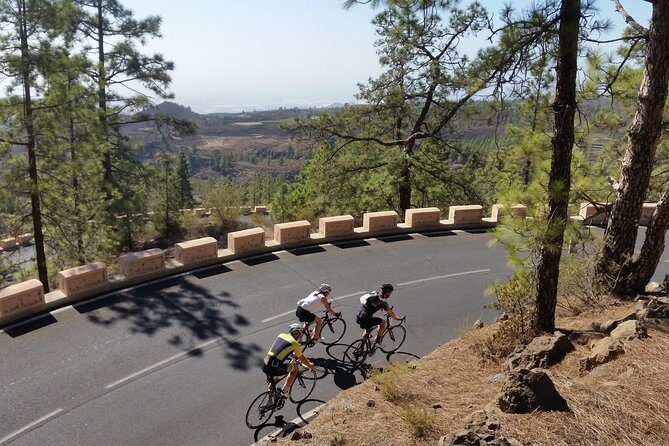 Road Cycling Tenerife - Teide Route - Where You Start in Playa de las Américas and How the Day Sets Up