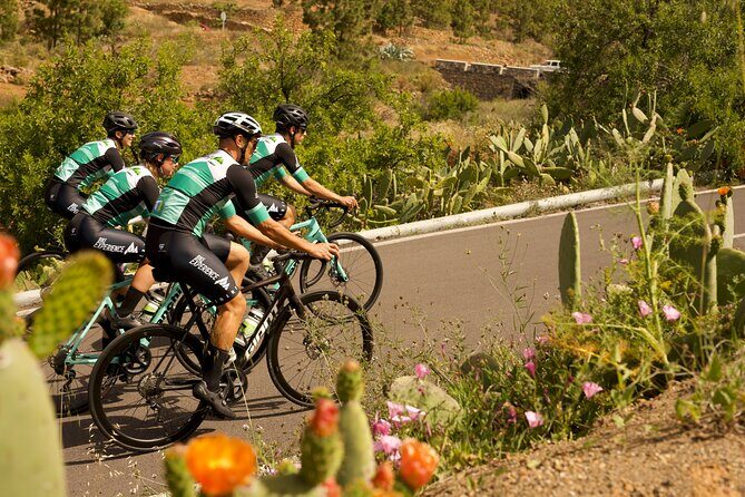 Road Cycling Tenerife - Vilaflor Route - Why Vilaflor Road Cycling Works Without a Car