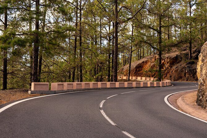 Road Cycling Tenerife - Vilaflor Route - Getting There: Avenida V Centenario and Hotel Pickup