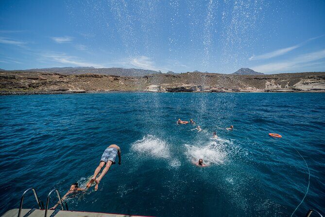 Royal Delfin 3H Dolphin & Whale Watching! Swimming & Lunch! - Diego Hernandez Bay swim stop: warm water, but plan for the crowd