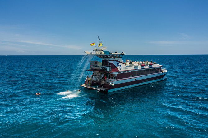 Royal Delfin 3H Dolphin & Whale Watching! Swimming & Lunch! - Price and value: is $60.15 a good deal for most people?