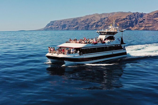 Royal Delfin - 4'5H Dolphin & Whale Watching - Los Gigantes Masca - Lunch & Swim - Underwater glass windows: the best way to spot marine life