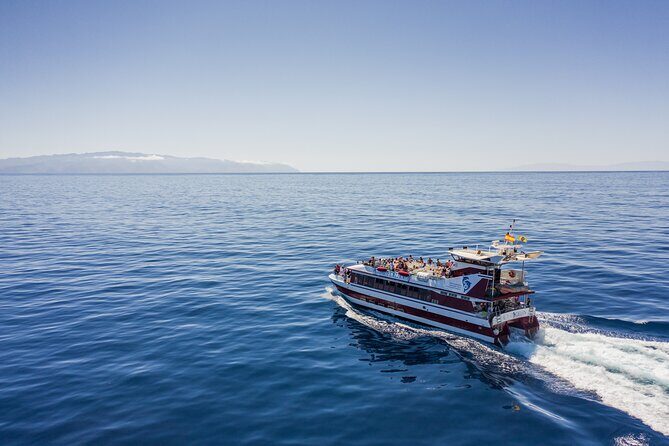 Royal Delfin - 4'5H Dolphin & Whale Watching - Los Gigantes Masca - Lunch & Swim - What your onboard “included” package actually means