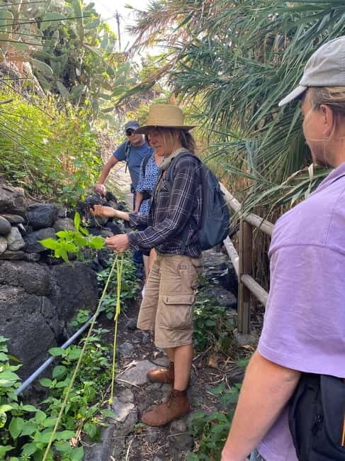 Rural Life Experience: Mojo Workshop and botanical Walk - Should You Book This Mojo Workshop and Botanical Walk?