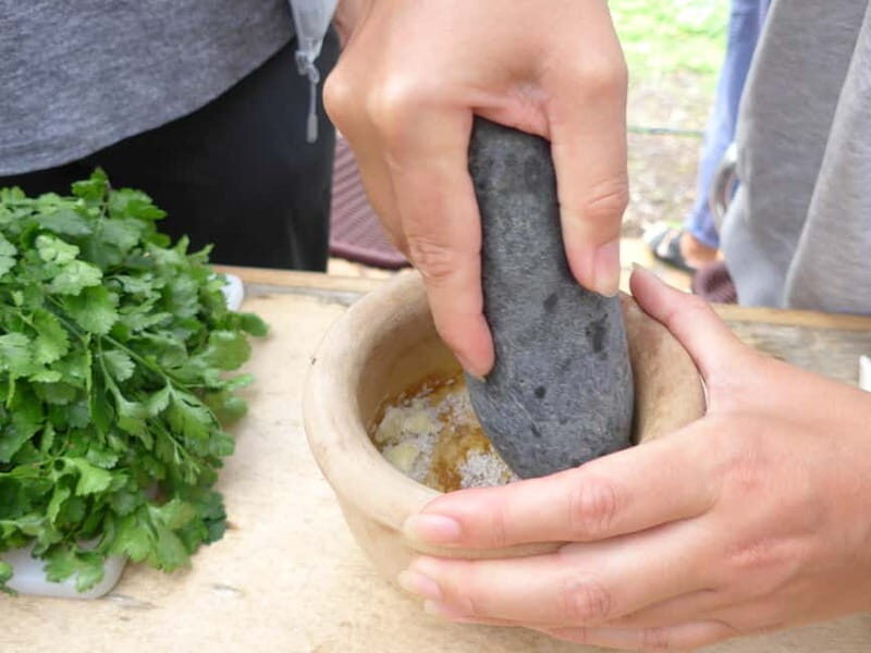 Rural Life Experience: Mojo Workshop and botanical Walk - Heading to the Fields: Coriander and Canary Chilies Up Close