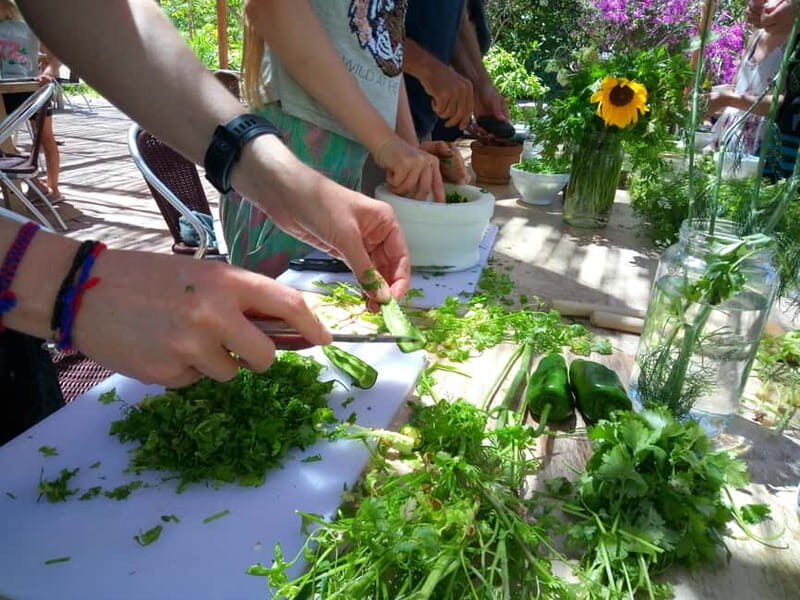 Rural Life Experience: Mojo Workshop and botanical Walk - Mojo Tasting with Local Potatoes or Bread